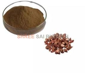 Salvia Plant Extract Powder