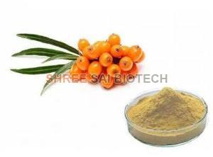 Sea Buckthorn Extract