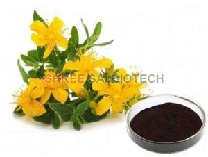 St John Wort Plant Extract Powder