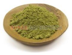 Yerba Mate Leaf Extract Powder