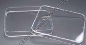 Rectangle Petri Dish
