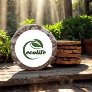 Cow Dung Cakes