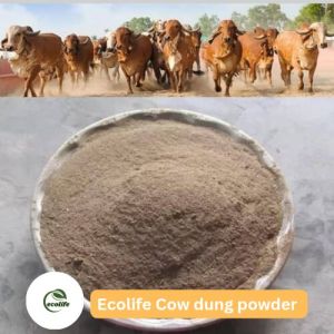 Cow Dung Powder