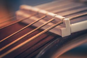 Guitar Gut String Set