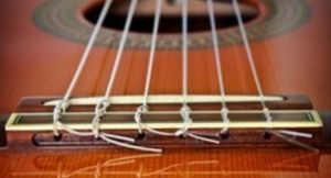 Rabab Gut String Set