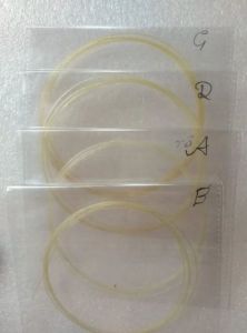 Violin Gut String Set