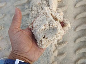 M Sand