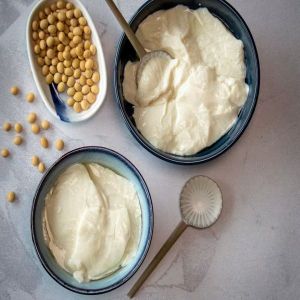 Fresh Soya Curd