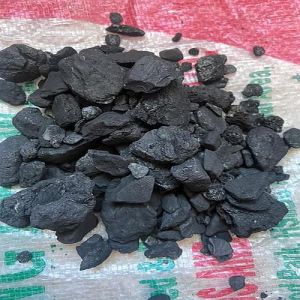 Assam Margherita Coal