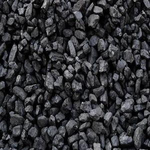 Cooking Steam Coal