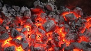 Cooking Steam Coal
