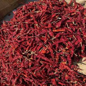 Dried Kashmiri Red Chilli