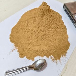 Sodium Bentonite Powder
