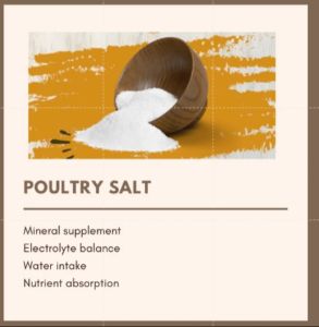 White Poultry Salt