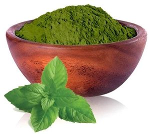Pudina Masala Powder