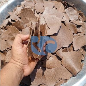Groundnut De Oiled Cake