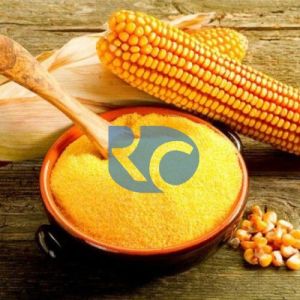 Maize Gluten Meal