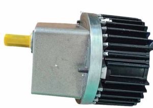 Single Phase High Torque Motor