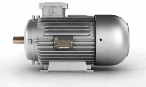 Three Phase Induction Motor