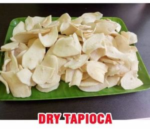 Dry Tapioca Chips