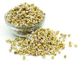Sprouted Green Gram