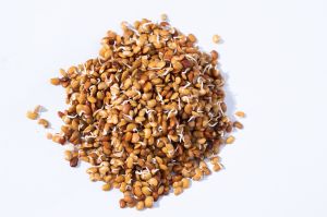 Sprouted Horse Gram