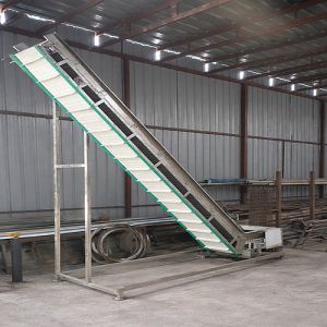 Inclined Conveyor System