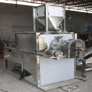 Puff Snacks Processing Plant