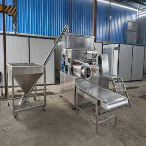 Vermicelli Processing Plant