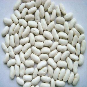 White Navy Beans