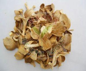 Dehydrated Oyster Mushroom