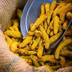 Natural Turmeric Finger