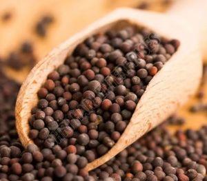 Black Mustard Seeds