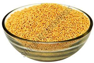 mustard seeds
