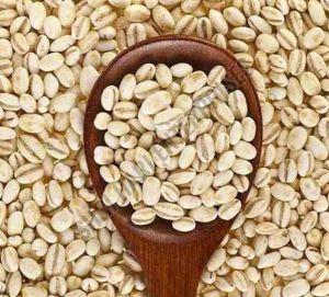 Organic Daliya