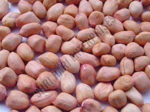 Raw Peanut Kernel