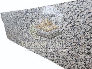 P White Granite Slab