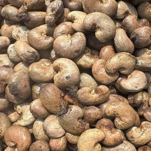 Raw Cashew Nuts