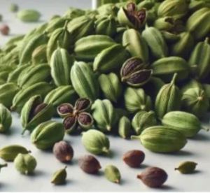 7.5mm Green Cardamom