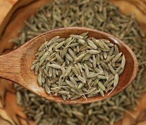 Europe 99 Cumin Seeds