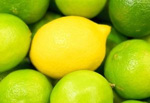 Fresh Lemon