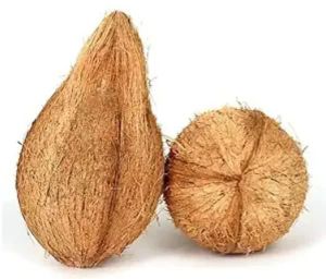 Pooja Coconut