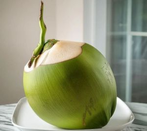 Tender Coconut