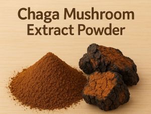 Chaga Mushroom Powder
