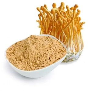 Cordyceps Mushroom Powder