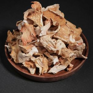 Dried Oyster Mushroom