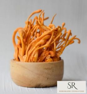 Fresh Cordyceps Mushroom