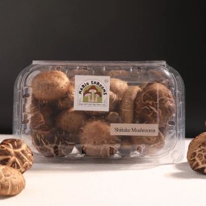 Fresh Shiitake Mushroom