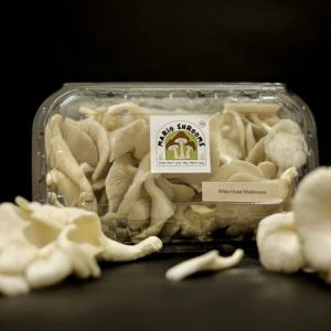 Fresh White Oyster Mushroom