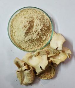 King Oyster Mushroom Powder